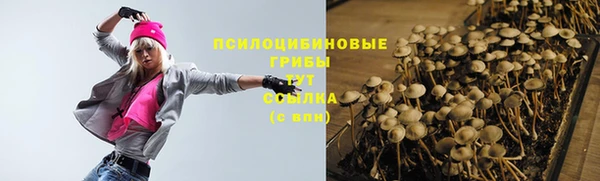 гидра Абдулино