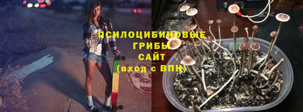 гидра Абдулино