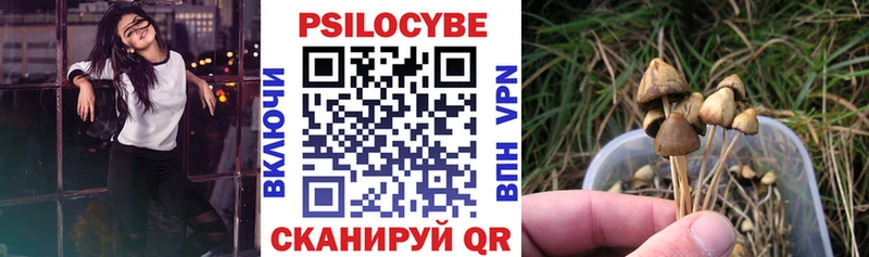 продажа наркотиков  mega ССЫЛКА  Псилоцибиновые грибы мицелий  даркнет состав  Безенчук 